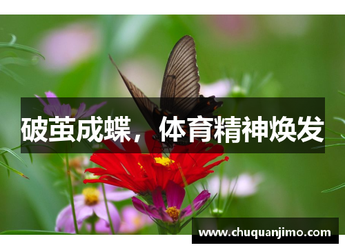 破茧成蝶，体育精神焕发